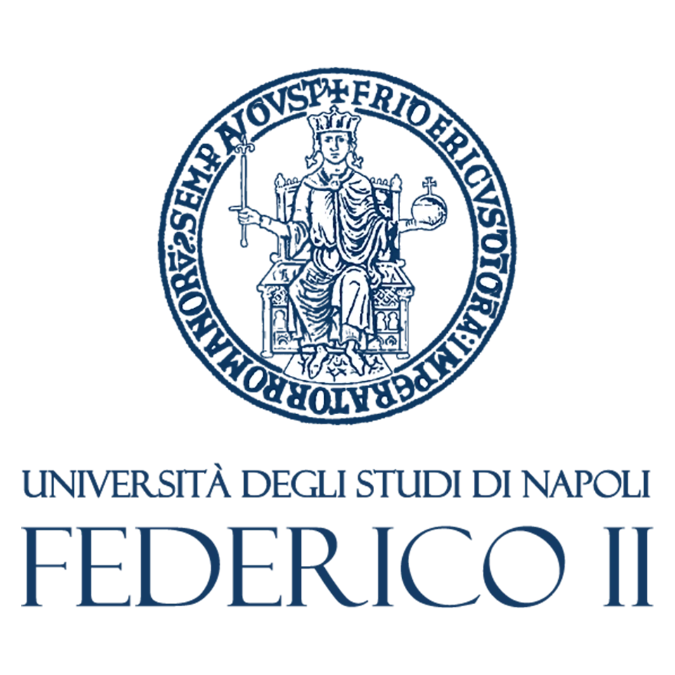 Logo University of Naples